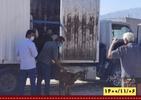 ‌تلفات دام در سیل اخیر شهرستان بستک جبران شد