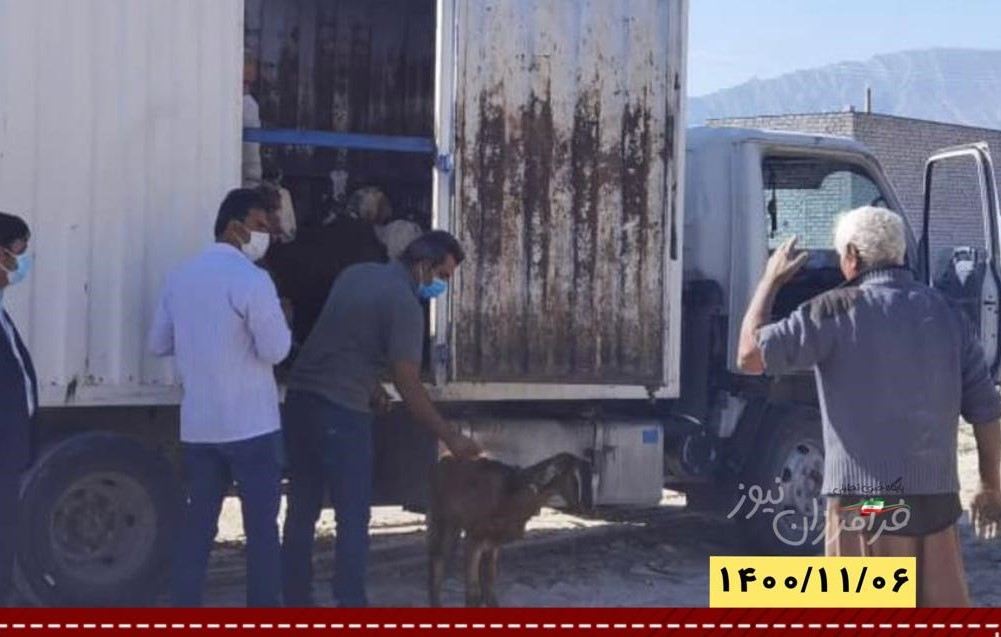 تلفات دام در سیل اخیر شهرستان بستک جبران شد