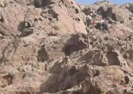 عسل ، دامی برای شهروند هرنگی شد