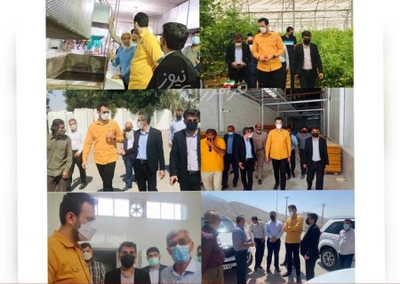 با حضور معاون هماهنگی امور اقتصادی استانداری هرمزگان ، رئیس سازمان جهاد کشاورزی و سرپرست فرمانداری شهرستان بستک از چندین واحد تولیدی در سطح شهرستان بازدید شد