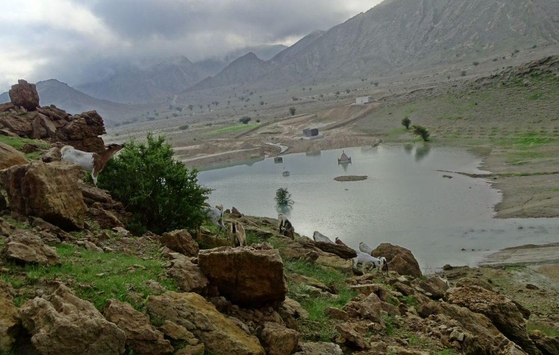 ۵۳ هزار هکتار از حوزههای آبخیز شهرستان بستک تحت پوشش عملیات آبخیزداری