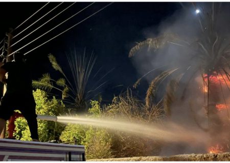 با همکاری و حضور به موقع آتش نشانان تدرویه و زنگارد ، آتش سوزی دهنگ مهار گردید