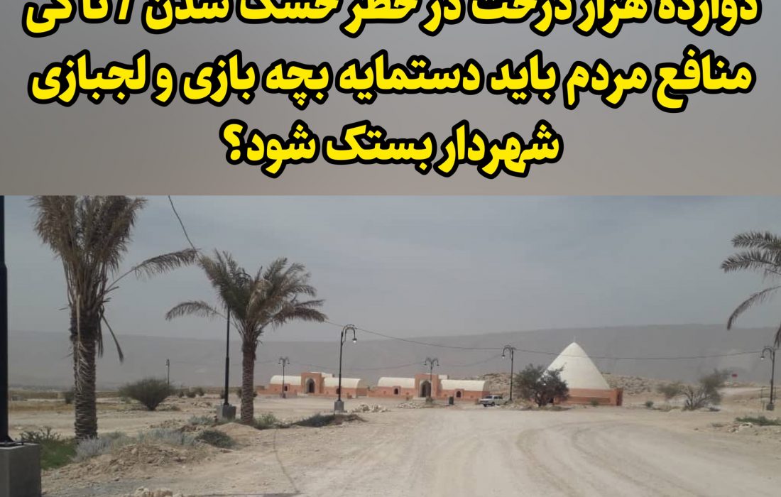 دوازده هزار درخت در خطر خشک شدن / تا کی منافع مردم باید دستمایه بچه بازی و لجبازی شهردار بستک شود؟