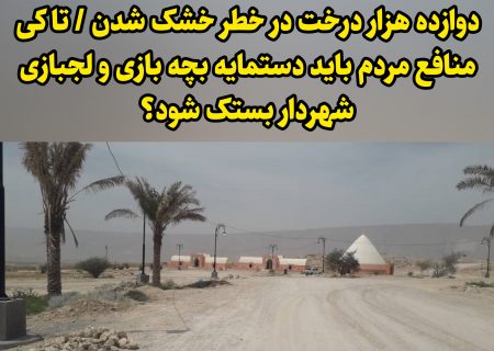 دوازده هزار درخت در خطر خشک شدن / تا کی منافع مردم باید دستمایه بچه بازی و لجبازی شهردار بستک شود؟