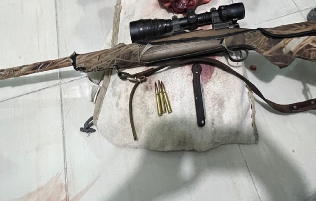 شکارچیان در چنگال قانون