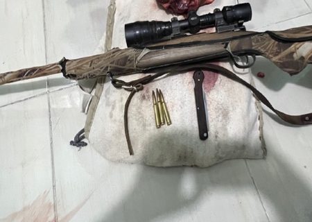 شکارچیان در چنگال قانون