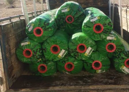 با پیگیری و حمایت نماینده غرب هرمزگان ، چمن مصنوعی زمین ورزشی این روستا به نهند رسید