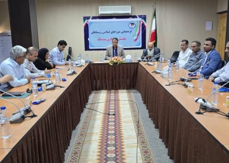 شوراها خالصانه و عاشقانه با همه توان و ظرفیت خود در جهت رفع مشکلات مردم و احقاق خواسته ها و حقوق آنها قدم برمی‌دارند