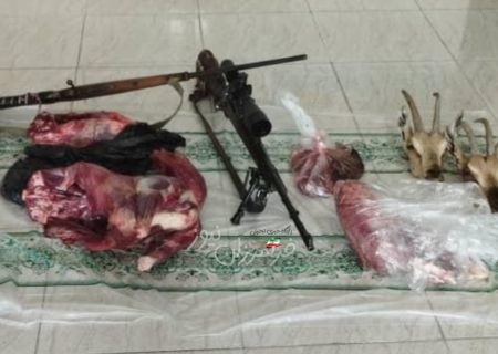 شکارچیان متخلف در بستک نقره داغ شدند/ یک میلیارد و پانصد میلیون ریال جریمه نقدی و شش سال توقیف اسلحه ، جریمه متخلفان