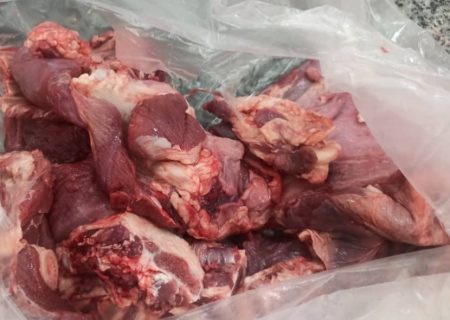 متخلفان شکار در دام ماموران یگان حفاظت شهرستان بستک