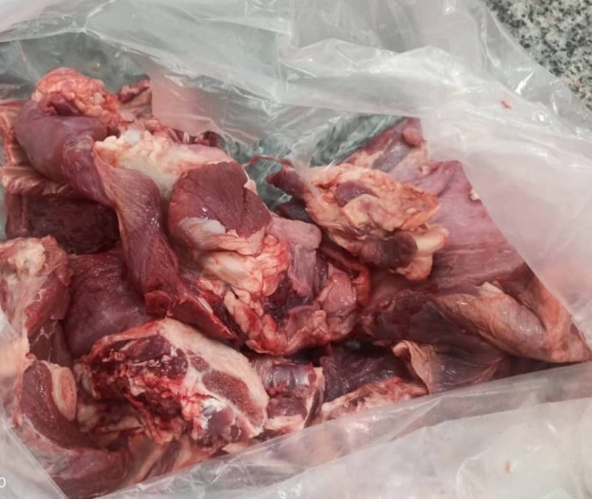 متخلفان شکار در دام ماموران یگان حفاظت شهرستان بستک