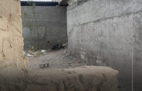 کشف مرموز جسد دختر ۱۴ ساله در خرابه‌های هرمز!