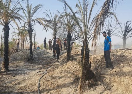 مهار آتش‌سوزی گسترده در نخلستان‌های بست قلات؛ بیش از ۱۰۰ اصله نخل درآتش سوختند