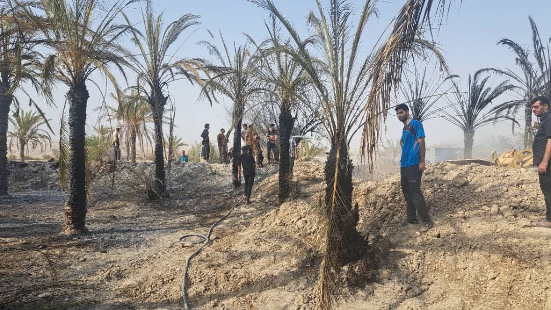 مهار آتش‌سوزی گسترده در نخلستان‌های بست قلات؛ بیش از ۱۰۰ اصله نخل درآتش سوختند