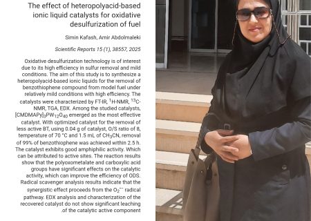 موفقیت جهانی پژوهشگر جوان بستکی در حوزه انرژی‌های تجدیدپذیر