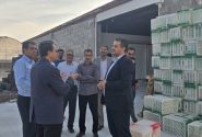 ابراهیمی از حمایت قضایی برای رفع موانع تولید در گلخانه‌های دهنگ خبر داد