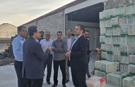 ابراهیمی از حمایت قضایی برای رفع موانع تولید در گلخانه‌های دهنگ خبر داد