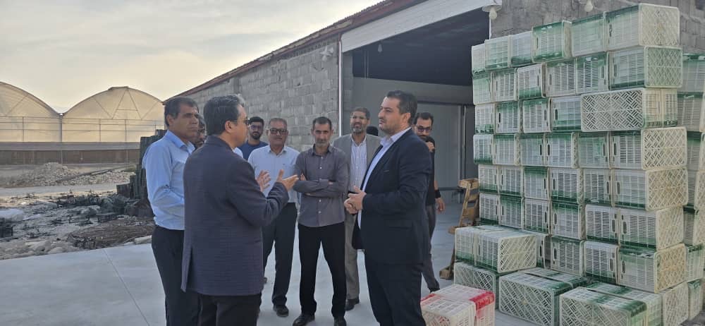 ابراهیمی از حمایت قضایی برای رفع موانع تولید در گلخانه‌های دهنگ خبر داد