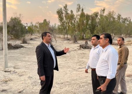 مطالبه رسانه ای پاسخ داد ، پایان بلاتکلیفی پارک جنگلی دهنگ با ورود دستگاه قضا