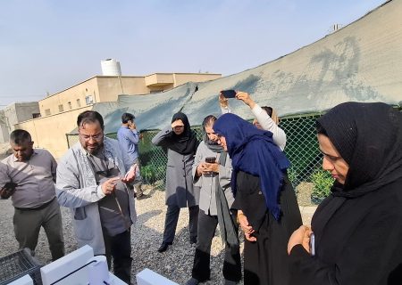 بازدید عملی اعضای صندوق خرد زنان روستایی بستک از نهالستان سایه خوش