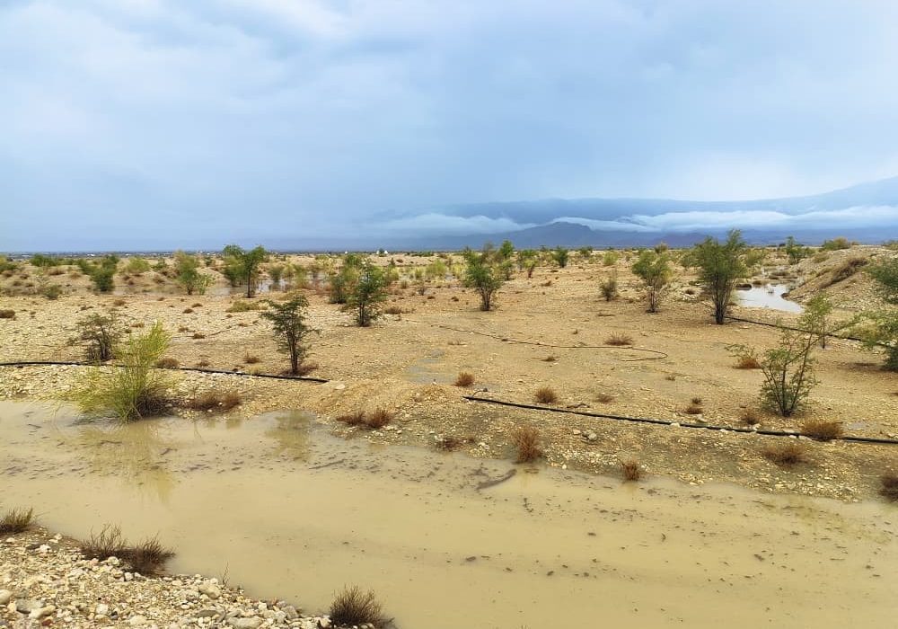 نقش مؤثر سیستم پخش سیلاب دهنگ در تغذیه سفره آب زیرزمینی دشت دهنگ