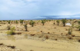 نقش مؤثر سیستم پخش سیلاب دهنگ در تغذیه سفره آب زیرزمینی دشت دهنگ